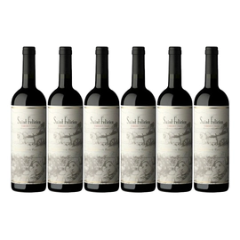 Caja Saint Felicien Cabernet Franc x 6
