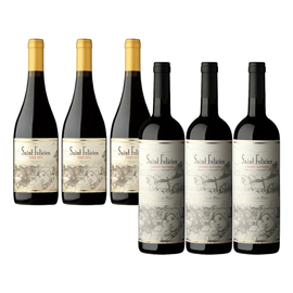 Caja combinada Saint Felicien Pinot Noir x 3 y Cab sauv x 3