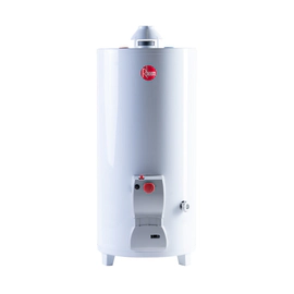 Termotanque Rheem Multigas De Pie 80 Litros Tpg080gnrh