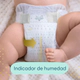 Pañales Pampers Deluxe Proteccion Talle M 72 Unidades