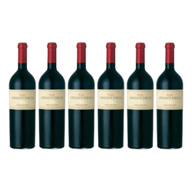 Caja Angelica Zapata Malbec x 6