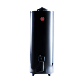 Termotanque Rheem A Gas Natural De Pie 120 L - Tgnp120rh