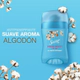 Desodorante En Barra Secret Powder Protect Cotton 45g