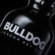 Gin Ginebra Bulldog London Dry 700 ml