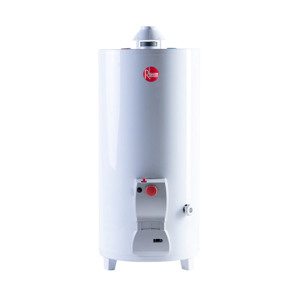 Termotanque Rheem Multigas De Pie 80 Litros Tpg080gnrh