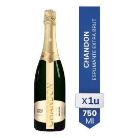 Chandon Extra Brut Espumante Botella 750 ml Mendoza