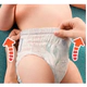 Pampers Pants Pañales Talla G 36 Un
