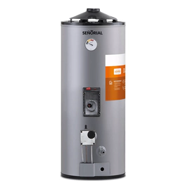 Termotanque Señorial 50 Litros Dual Gas Y Electrico