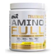 Ena Truemade Amino Full 146 G