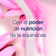 Shampoo Dove Ritual Crecimiento Equinacea 400ml