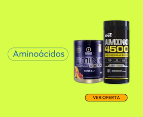 AMINOÁCIDOS