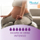 Plenitud Toalla Nocturna Femme Incontinencia 8 Un