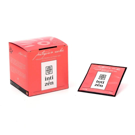 Te Inti Zen Patagonia Rooibos Caja 15 Saquitos Frutos Rojos