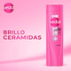 Shampoo Sedal Ceramidas 340 Ml