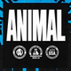 Universal Nutrition Animal 100% Creatine Monohydrate X500 Gr
