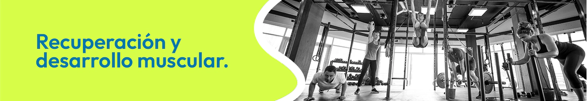 recuperación y desarrollo muscular entrenamiento fitness