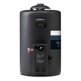Termotanque Multigas Señorial Black Carga Sup/inf 50 Lt Negro