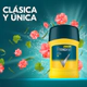Rexona Desodorante Antitranspirante Men V8 En Barra X 50gr