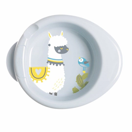 Chicco Plato Térmico + 6 Meses