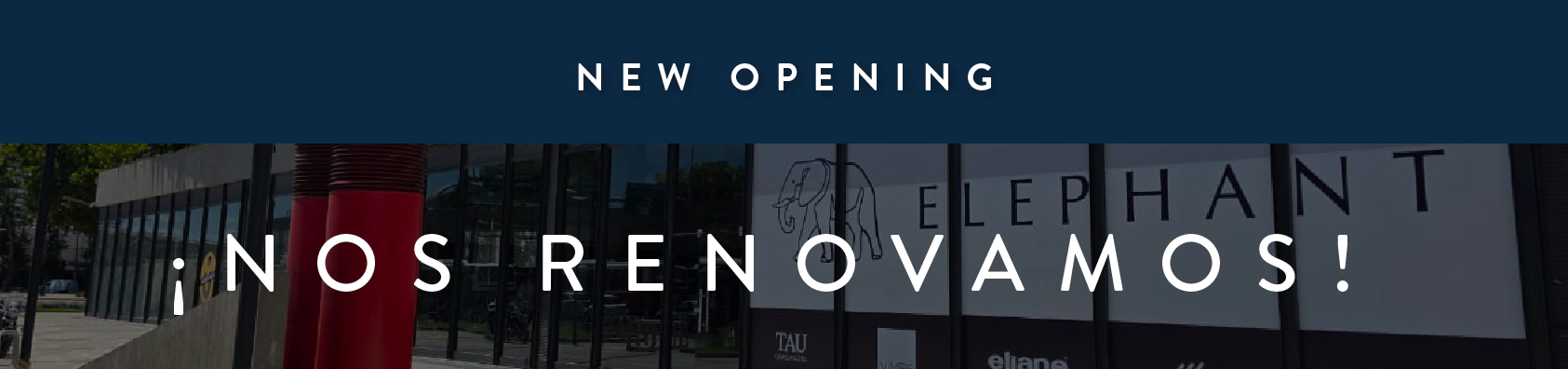 elephant en quartier