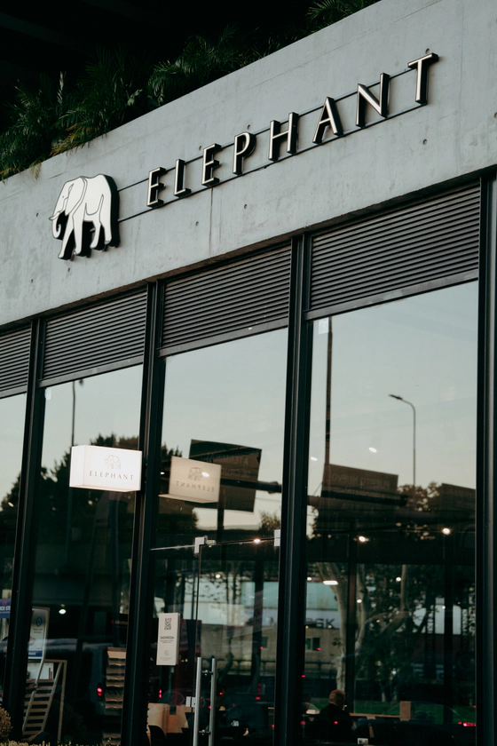 ELEPHANT
