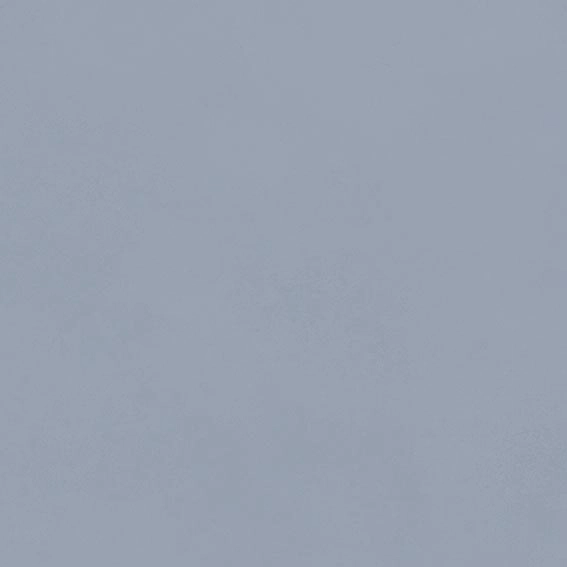 VIVES PORC. ALAMEDA R NUBE 20X20