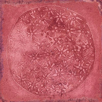 VIVES CER. CARLO GRANATE-B 20X20