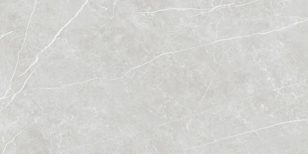 TAU PORC. ELITE SILVER MATE 60X120