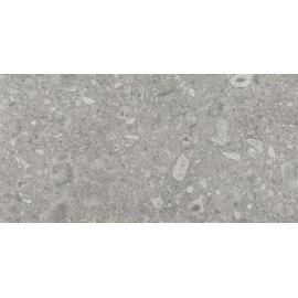 ELIANE PORC. ISEO GRIGIO 60X120