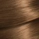 Garnier Nutrisse Kit de Coloracion en Crema 60 capuccino 60 cappuccino
