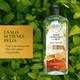 Shampoo bío:renew white grapefruit 400 ml
