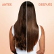 Fructis