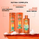 Fructis