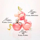 Nina EDT Refillable 80 ML