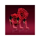 Very Good Girl Glam Edp 50Ml