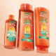 Fructis