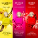 SHAKIRA Amarillo EDP 80 ML