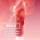 Brillo Labial Maybelline Lifter Plump x 5.4 ml Color Hot Honey