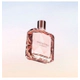 Irresistible Edp 35 Ml