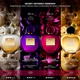 Her Secret Absolu EDP 80 ML