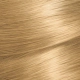Garnier Nutrisse Coloracion en Crema 81 Avena
