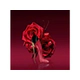Very Good Girl Glam Edp 50Ml