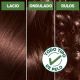 Nutrisse Kit de Coloracion 52 chocolatisimo