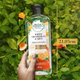 Shampoo bío:renew white grapefruit 400 ml