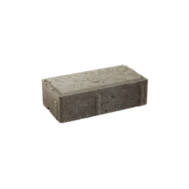 La Bloquera Adoquin Holanda Gris 6CM 60X98X198MM HA6 X MT2