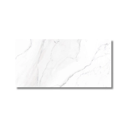 Porcelanato Tendenza 57.5x117 Aspen Satinado Rect Cal 1º