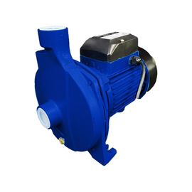 Bomba Centrífuga 0.75 HP - Gamma Select - G2784AR