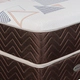 Sommier y Colchón Resortes Springwall MAGNETIC Soft 180x200 King