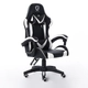 Silla Gamer de Escritorio TGH01L - OUTLET