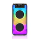 Parlante Portatil Panacom SP-1336FL 10W Bluetooth RGB USB